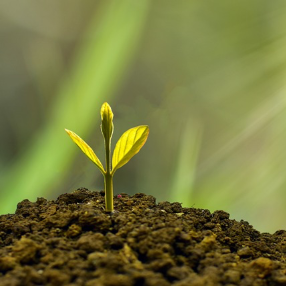 partenariat rse environnement et securite